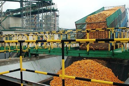 敦煌種業(yè)先鋒良種有限公司酒泉種子加工廠三、四期工程竣工投產(chǎn)