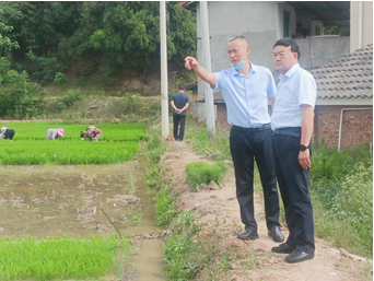 “三抓三促”進(jìn)行時 | 強化落實解難題 激活企業(yè)促發(fā)展——公司董事長劉興斌一行赴武漢敦煌種業(yè)有限公司進(jìn)行調(diào)研